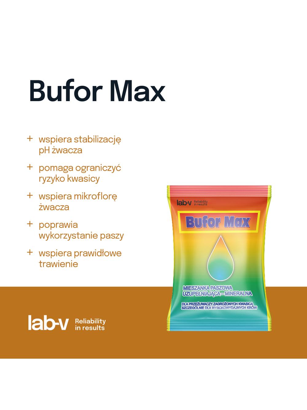 Lab-v Bufor Max - Mieszanka Paszowa Uzupełniająca Dietetyczna Dla Przeżuwaczy Zagrożonych Kwasicą 120g