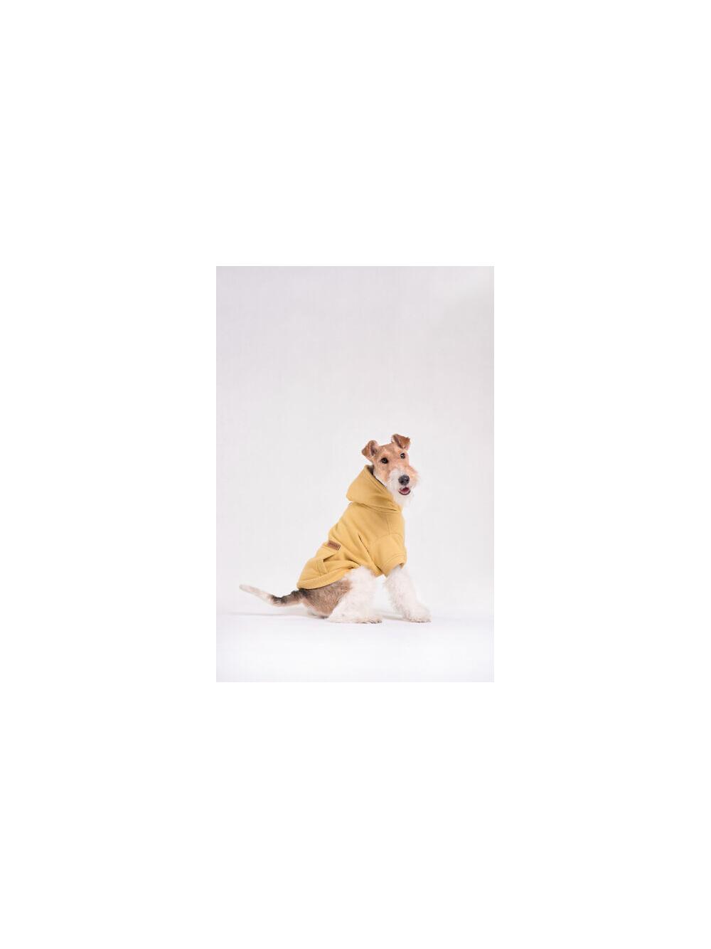 AMIPLAY- Bluza z kapturem Texas 30 cm Yorkshire Terrier-czerwona