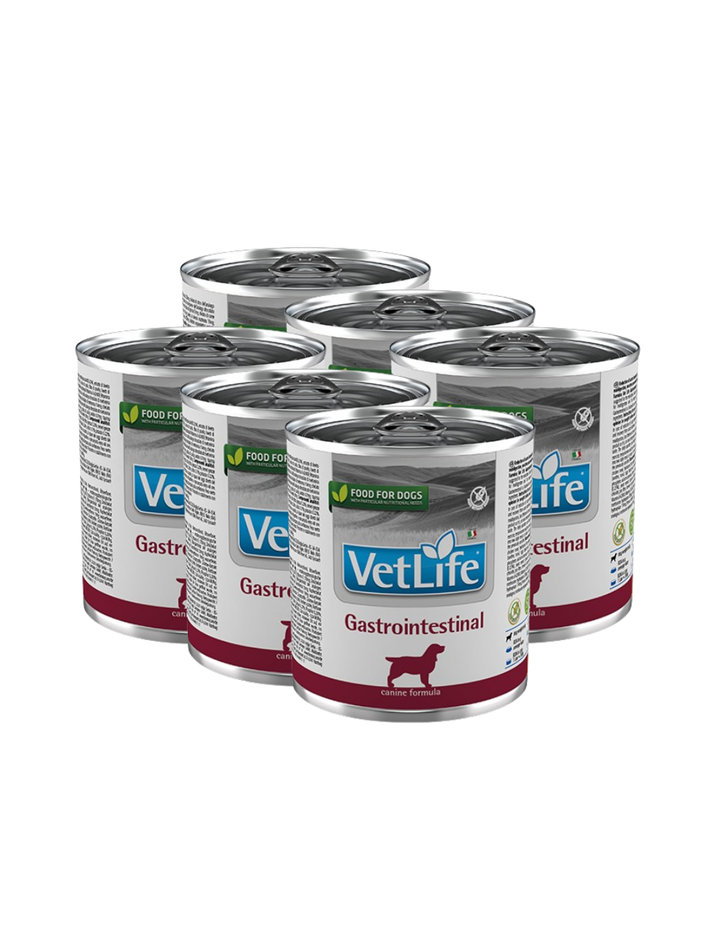 Farmina Vet Life Gastrointestinal Dog 6x300g