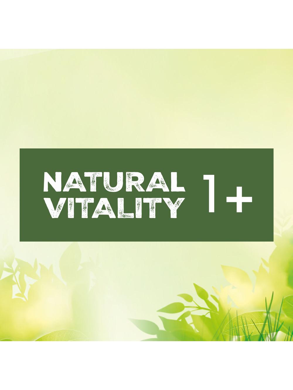 Perfect Fit™ Natural Vitality  – sucha karma pełnoporcjowa dla dorosłych kotów, z kurczakiem i indykiem – 6kg