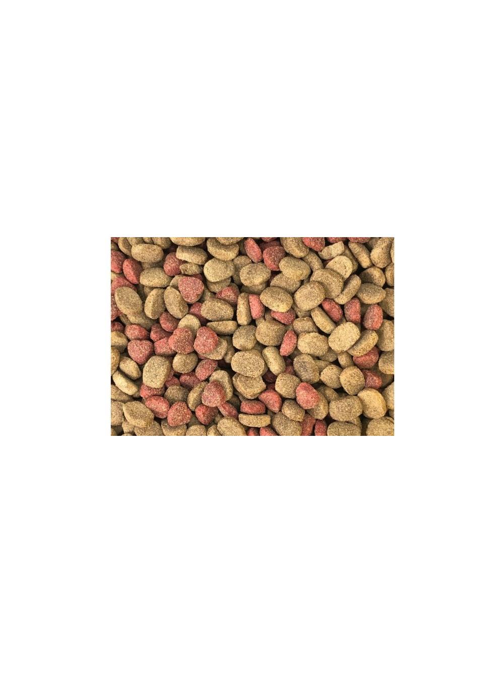 DINO Sucha Karma z Wołowiną dla Psów 20kg + 10% GRATIS