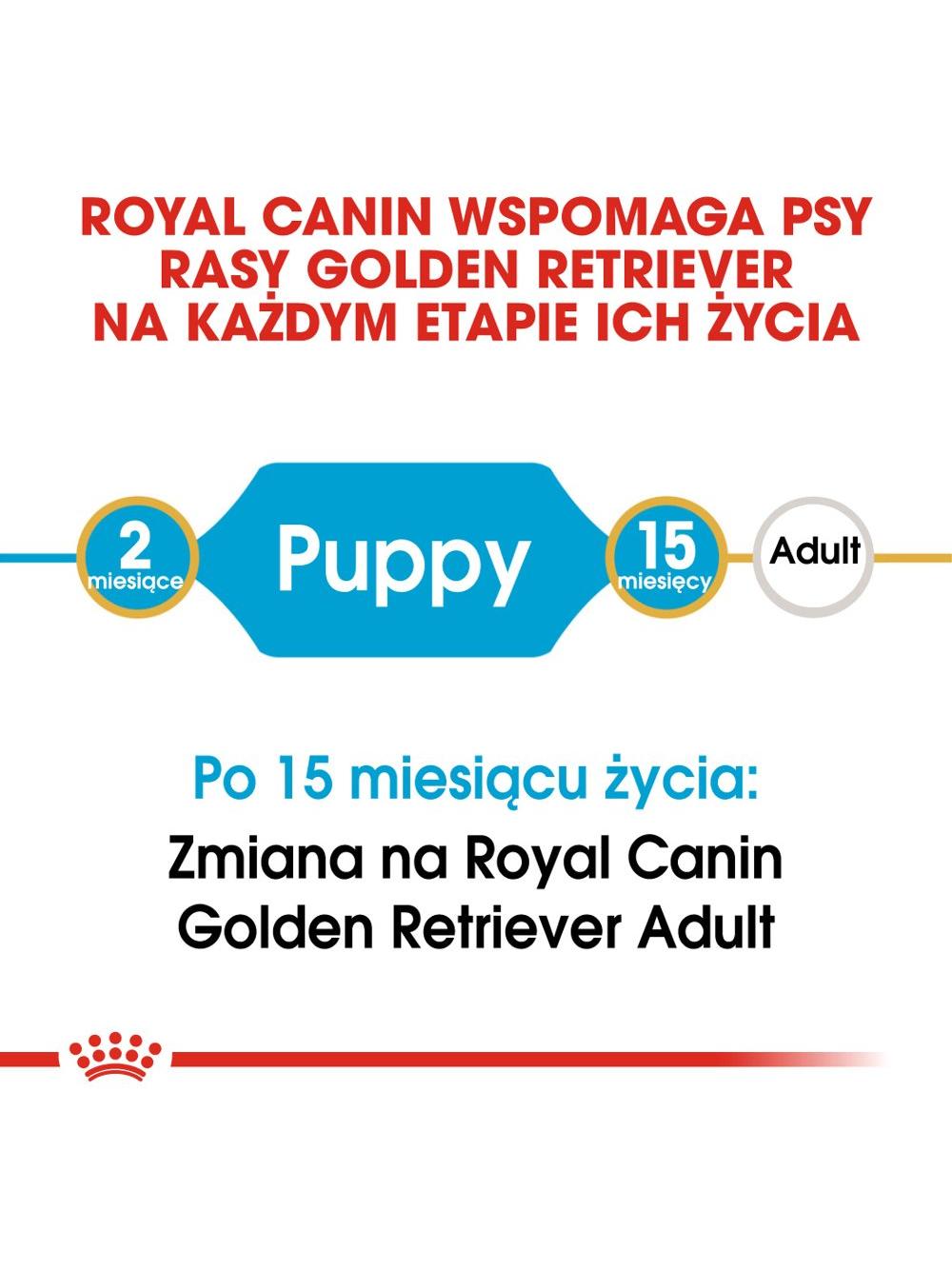 ROYAL CANIN Golden Retriever Puppy 12kg karma sucha dla szczeniąt do 15 miesiąca, rasy golden retriever/Opakowanie uszkodzone(9587)