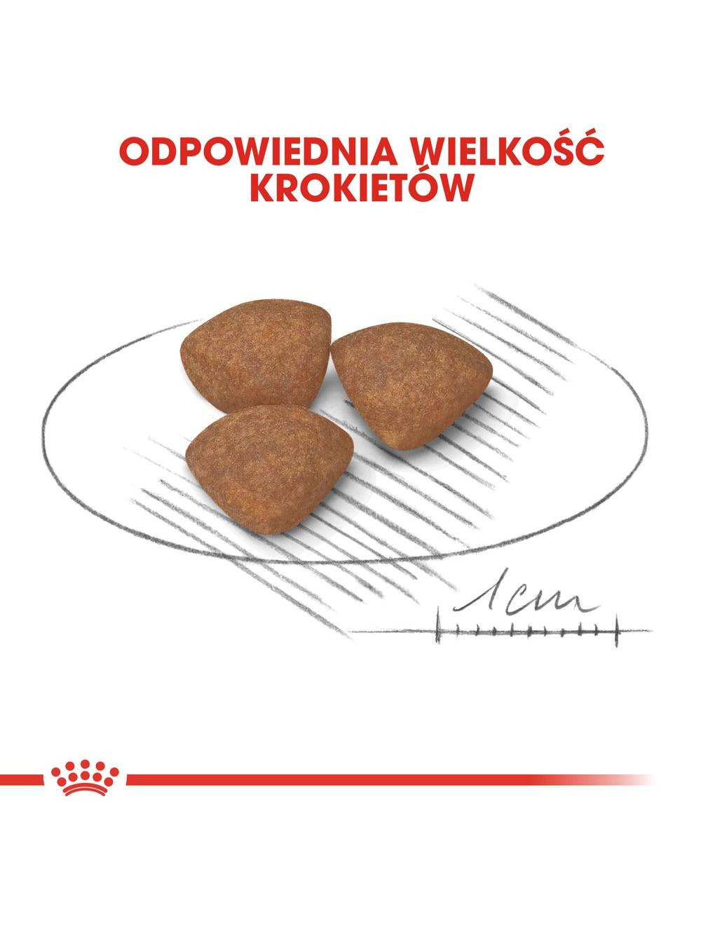 ROYAL CANIN Mini Puppy 8kg  + niespodzianka dla psa GRATIS!