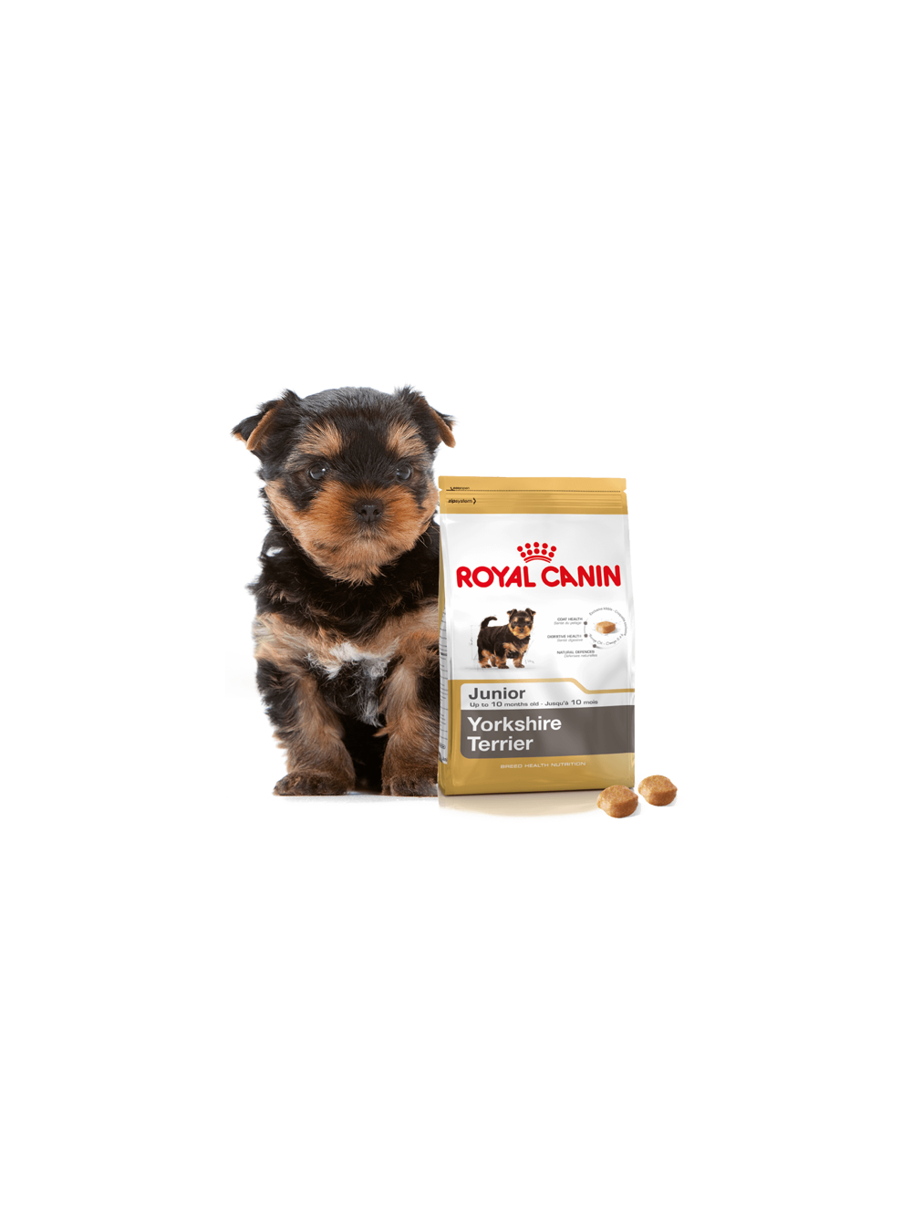 ROYAL CANIN Yorkshire Terrier Puppy 500g karma sucha dla szczeniąt do 10 miesiąca, rasy yorkshire terrier