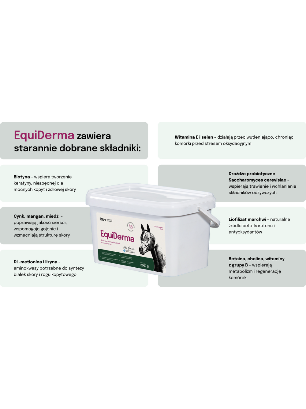 Lab-v EquiDerma Mieszanka paszowa uzupełniająca dla koni i kucyków wspierająca kondycję skóry, sierści i kopyt 2000g