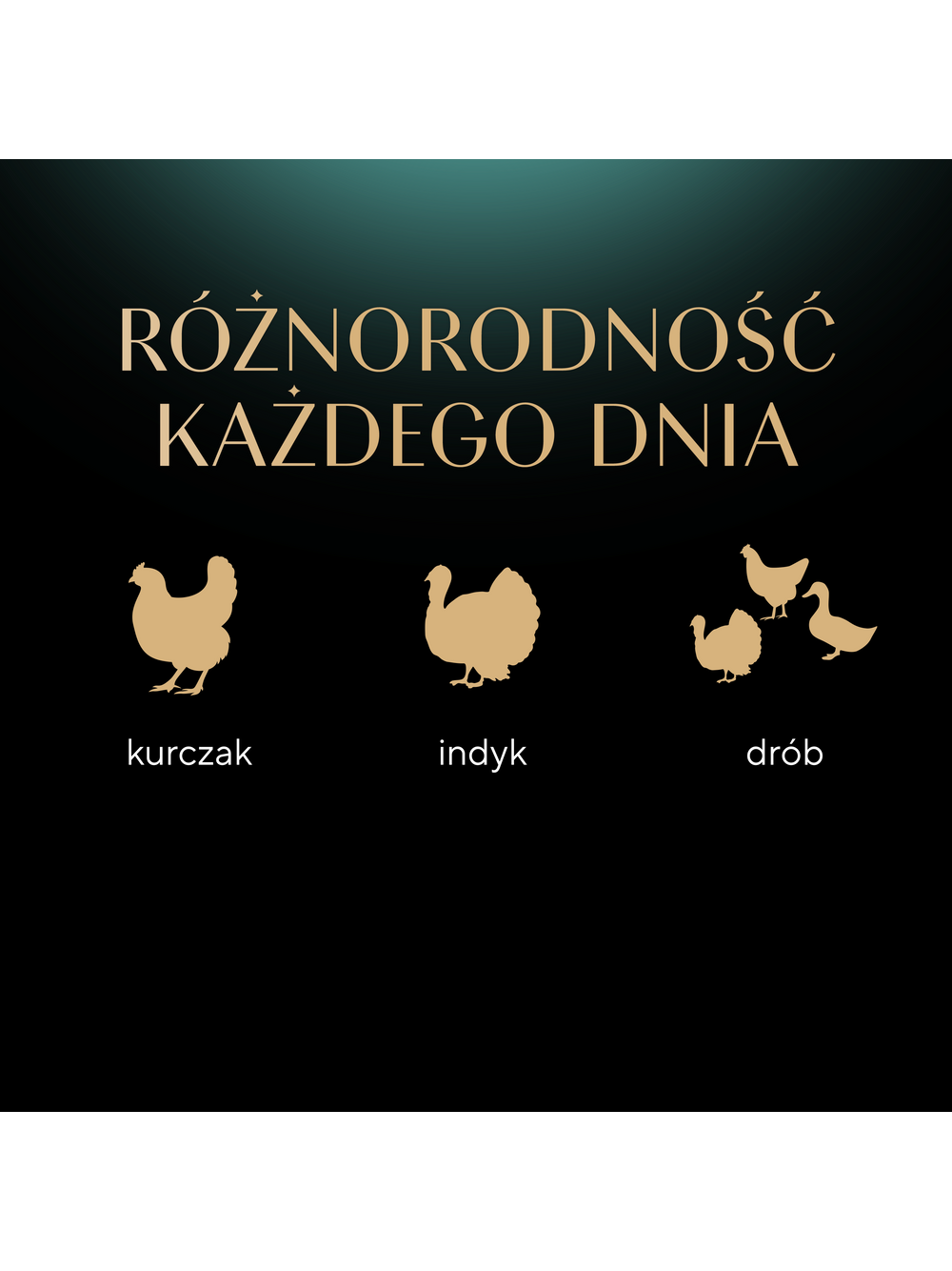 SHEBA saszetka 50x50g Fresh & Fine - mokra karma dla kotów dorosłych w sosie (z kurczakiem, z drobiem, z indykiem)