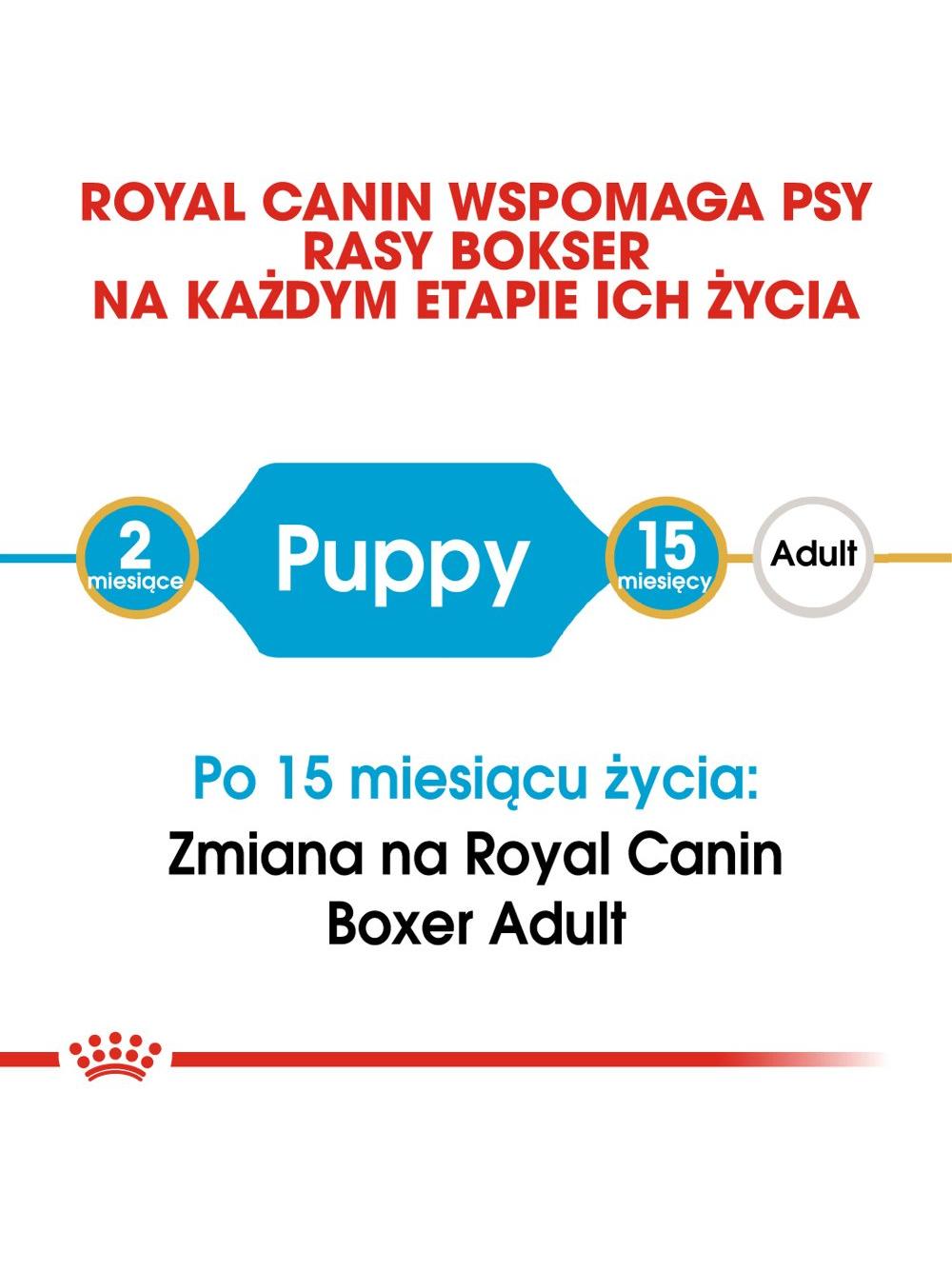 ROYAL CANIN Boxer Puppy 12kg karma sucha dla szczeniąt do 15 miesiąca, rasy bokser / Opakowanie uszkodzone (3804,4549,4551,4546,4548,3818,9399) !!!