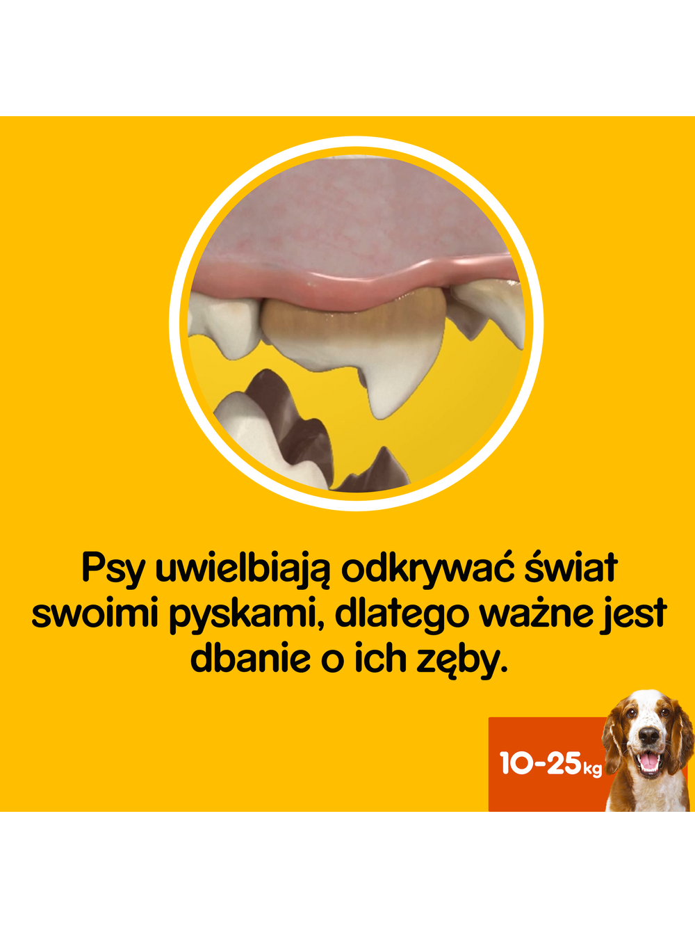 PEDIGREE DentaStix (średnie rasy) przysmak dentystyczny dla psów 28 szt. - 4x180g