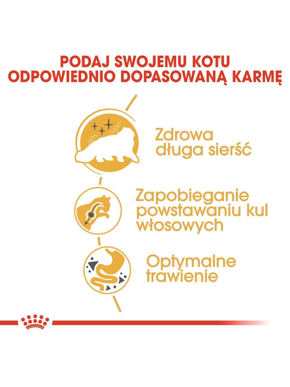 ROYAL CANIN Persian Adult 2kg karma sucha dla kotów dorosłych rasy perskiej