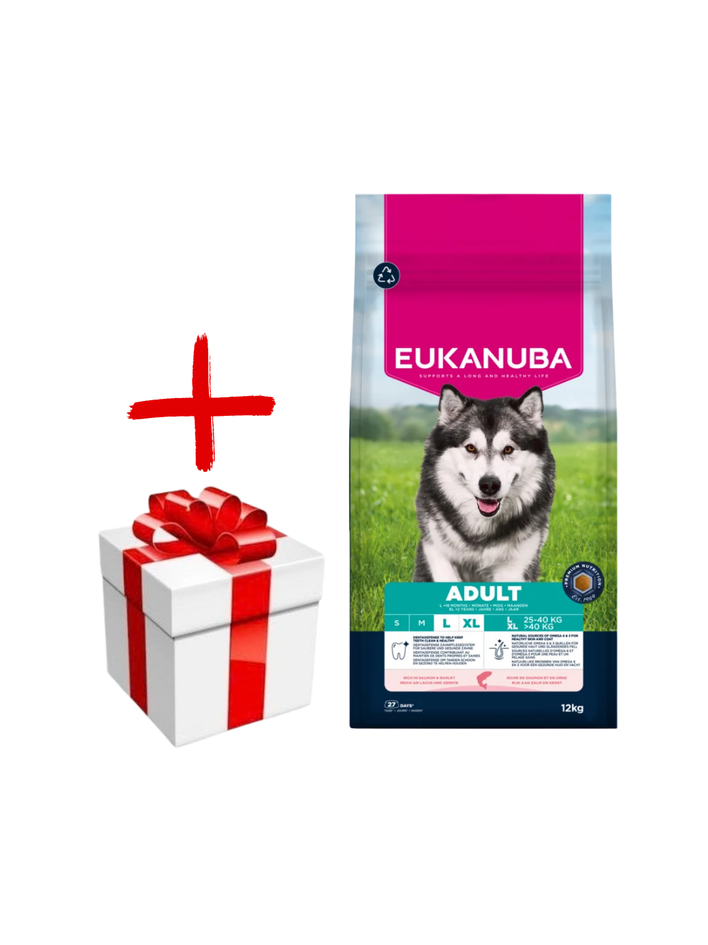 Eukanuba Adult Large Salmon&Barley 12kg + niespodzianka dla psa GRATIS!