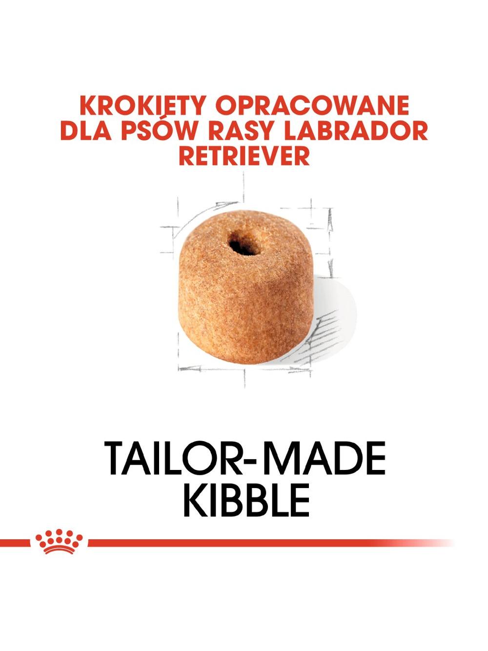 ROYAL CANIN® Labrador Retriever Adult 11,5 kg karma sucha dla psów dorosłych do 5. roku życia, rasy labrador retriever / Opakowanie uszkodzone (5766)!!!