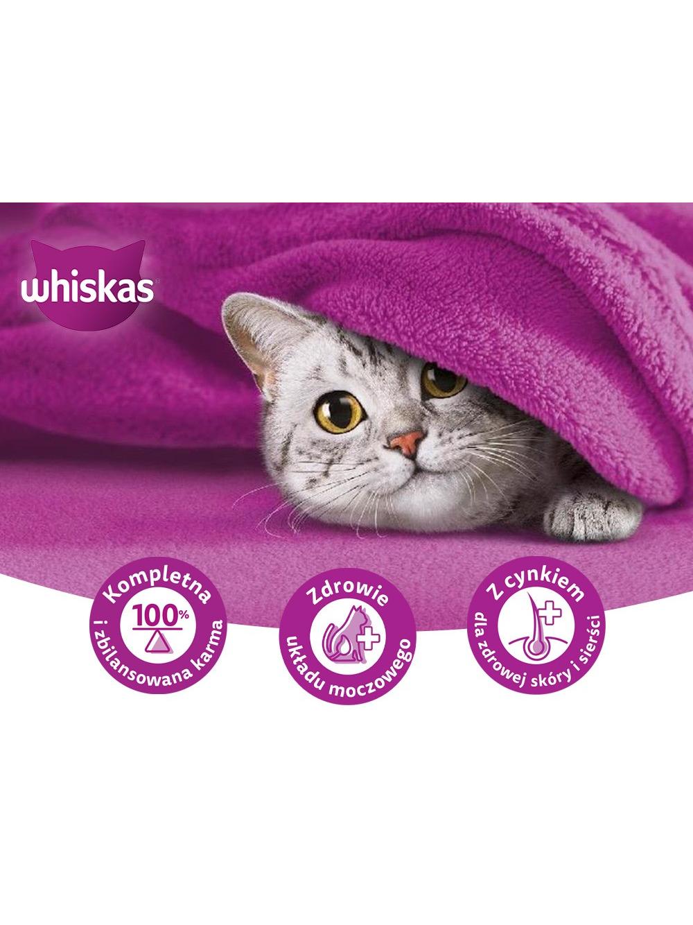 WHISKAS Adult saszetki 40 x 85 g Rybne Przysmaki - mokra karma dla dorosłego kota, w galaretce + WHISKAS Adult saszetki 40 x 85 g Klasyczne Posiłki