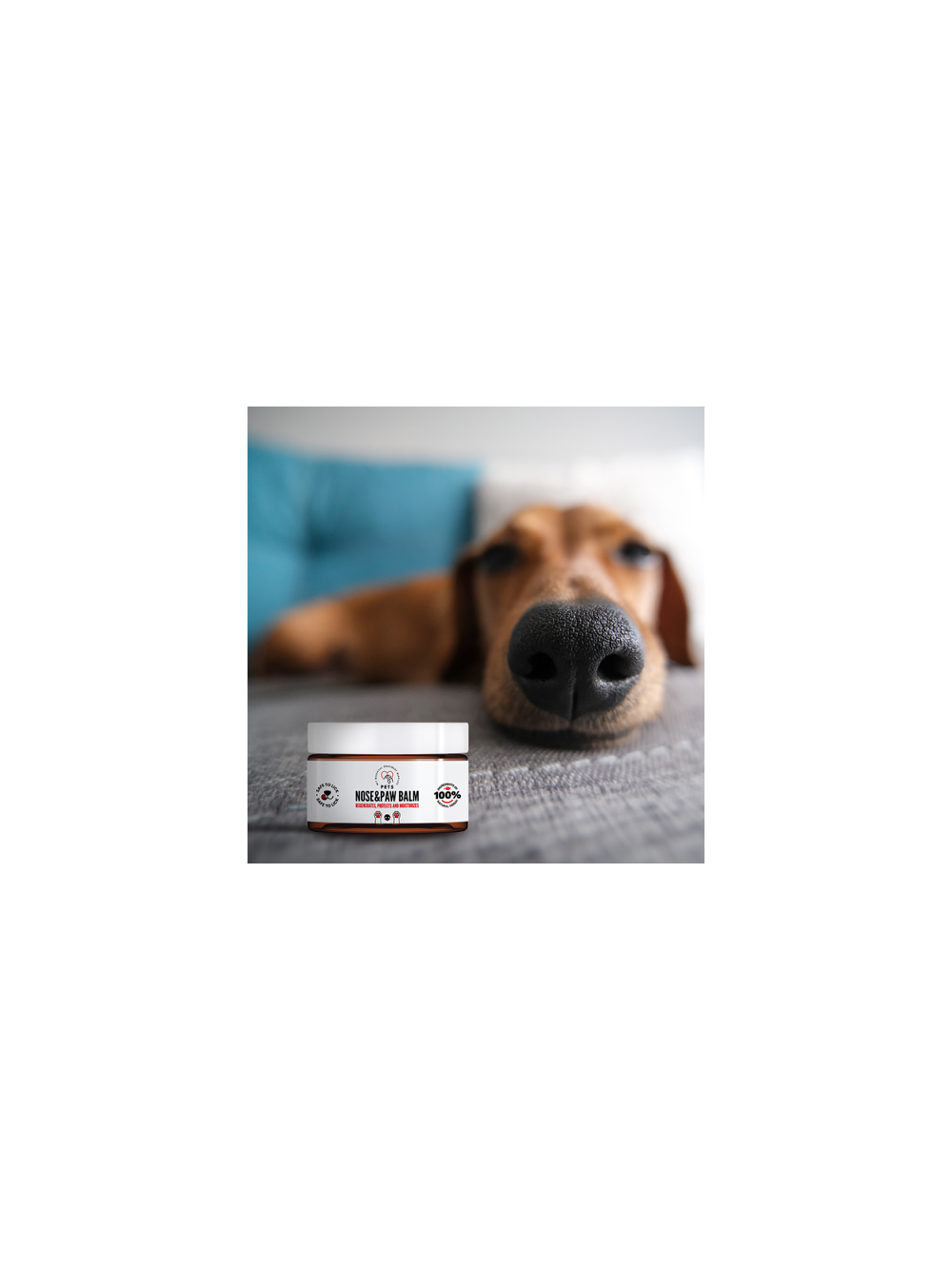 PET Nose & Paw Balm / Balsam do nosa i łapek 75ml – 100% naturalny skład
