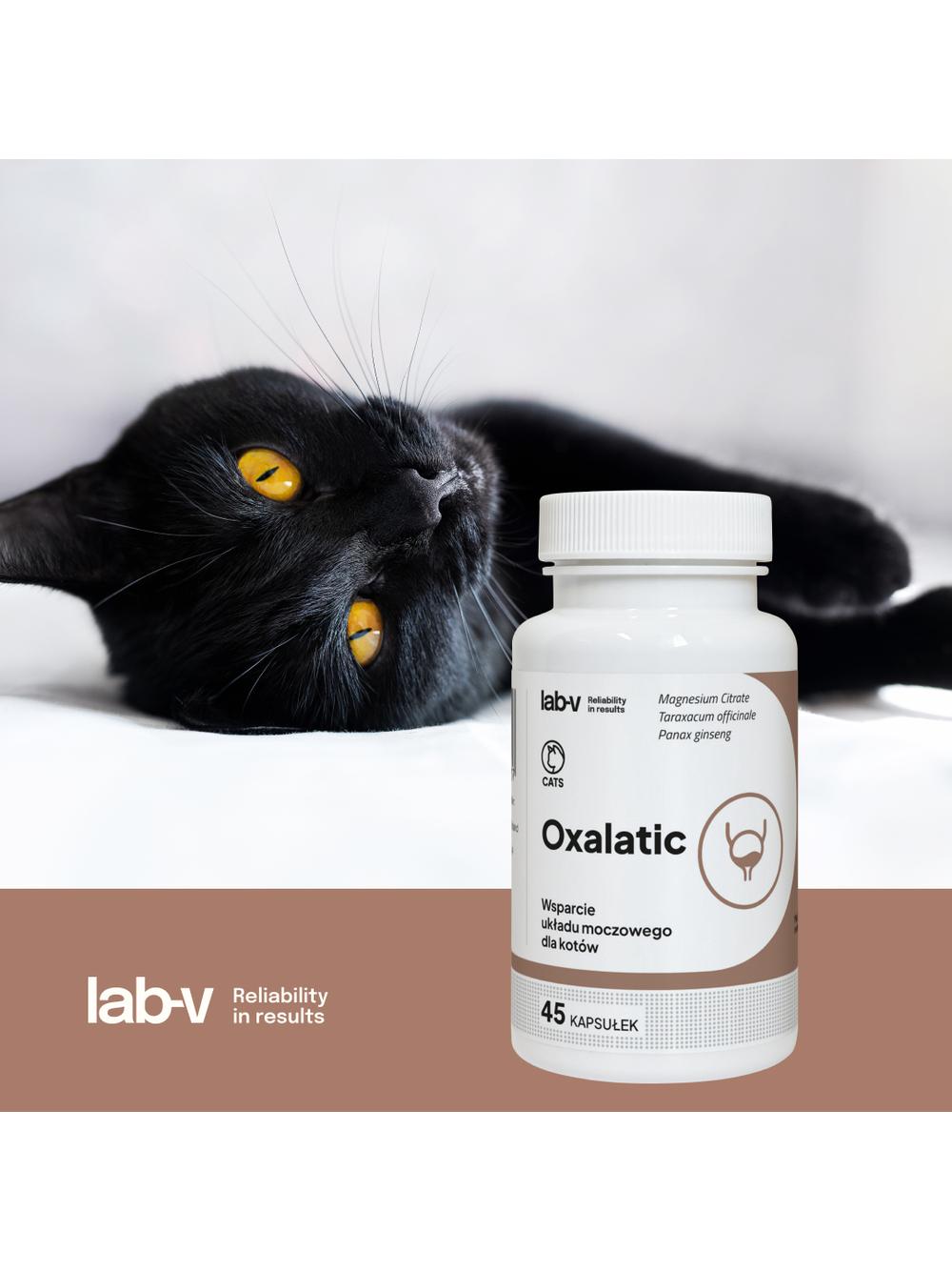 Lab-v Oxalatic – Wsparcie dla kotów przy tworzeniu się kamieni oksalatowych 45 kapsułek