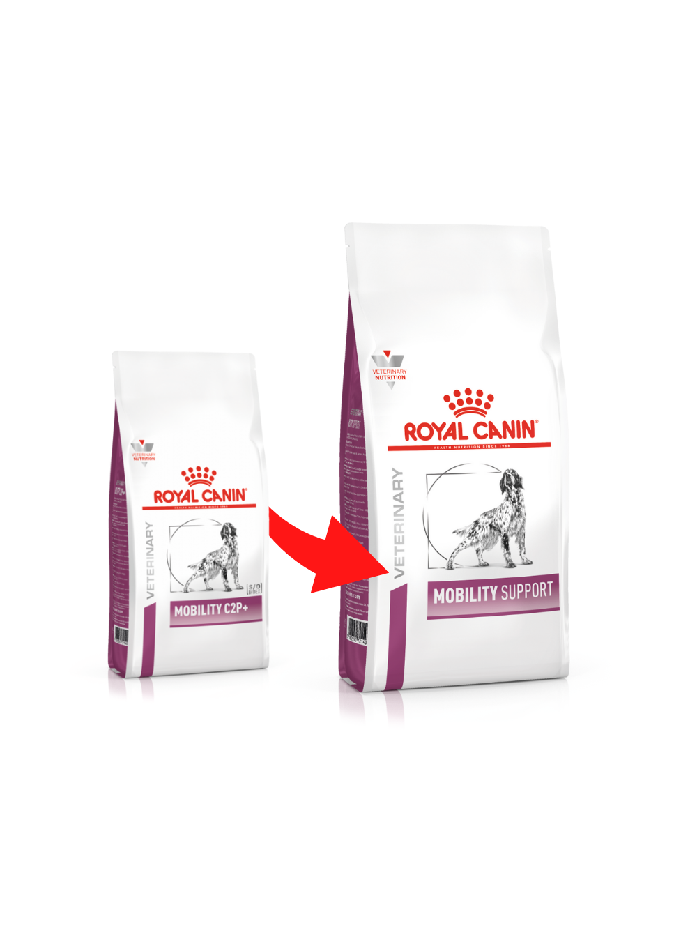 ROYAL CANIN Mobility Support 12kg opakowanie uszkodzone (5212,5523,5987,7602,8361,8937,9363)!!!!
