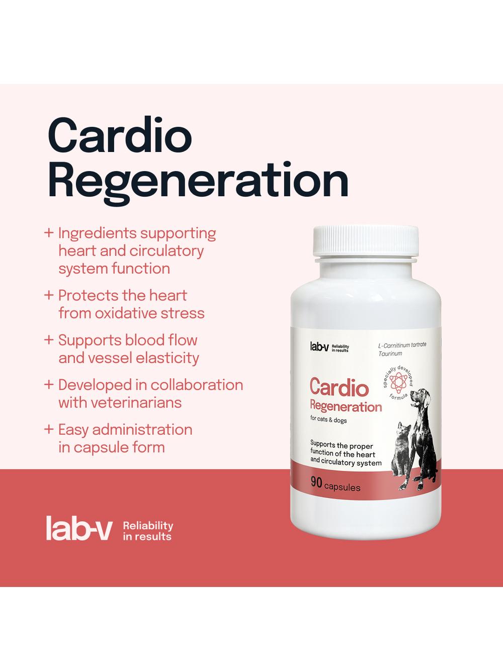Lab-v Cardio Regeneration – Wsparcie prawidłowego funkcjonowania pracy serca i układu krążenia dla psów i kotów 90 kapsułek