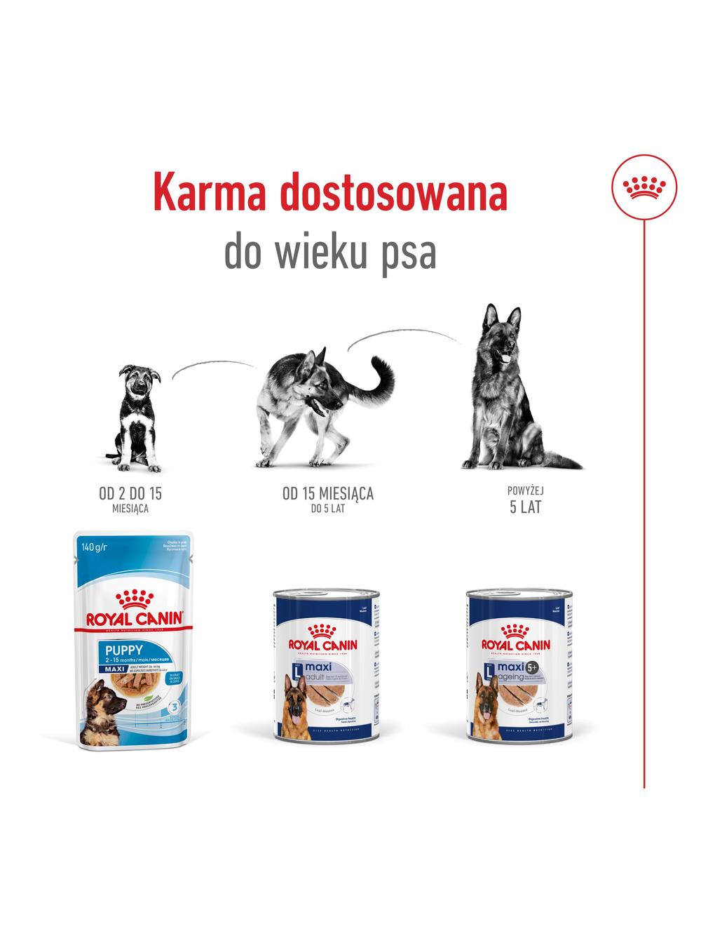 ROYAL CANIN®  Maxi Ageing 5+ 410g karma mokra , pasztet dla psów starszych od 5. roku życia, ras dużych