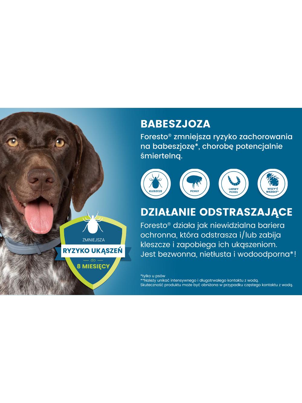 ELANCO Foresto Obroża dla psów powyżej 8kg+ Cestal Dog Plus tabletki na odrobaczanie psów 2 sztuki