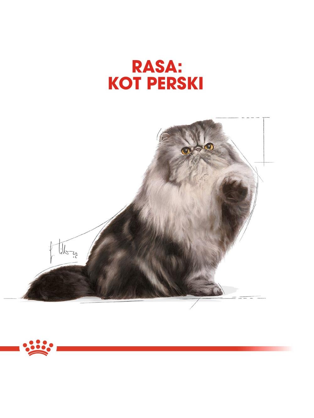 ROYAL CANIN Persian Adult 10kg karma sucha dla kotów dorosłych rasy perskiej