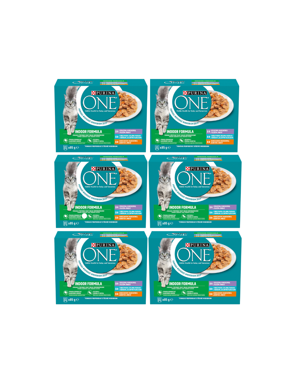 Purina One Indoor Formula Karma dla dorosłych kotów 6x(12x85g)