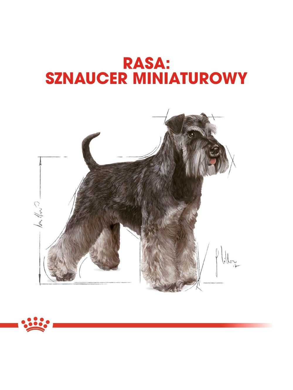 ROYAL CANIN Miniature Schnauzer Adult 3kg karma sucha dla psów dorosłych rasy schnauzer miniaturowy