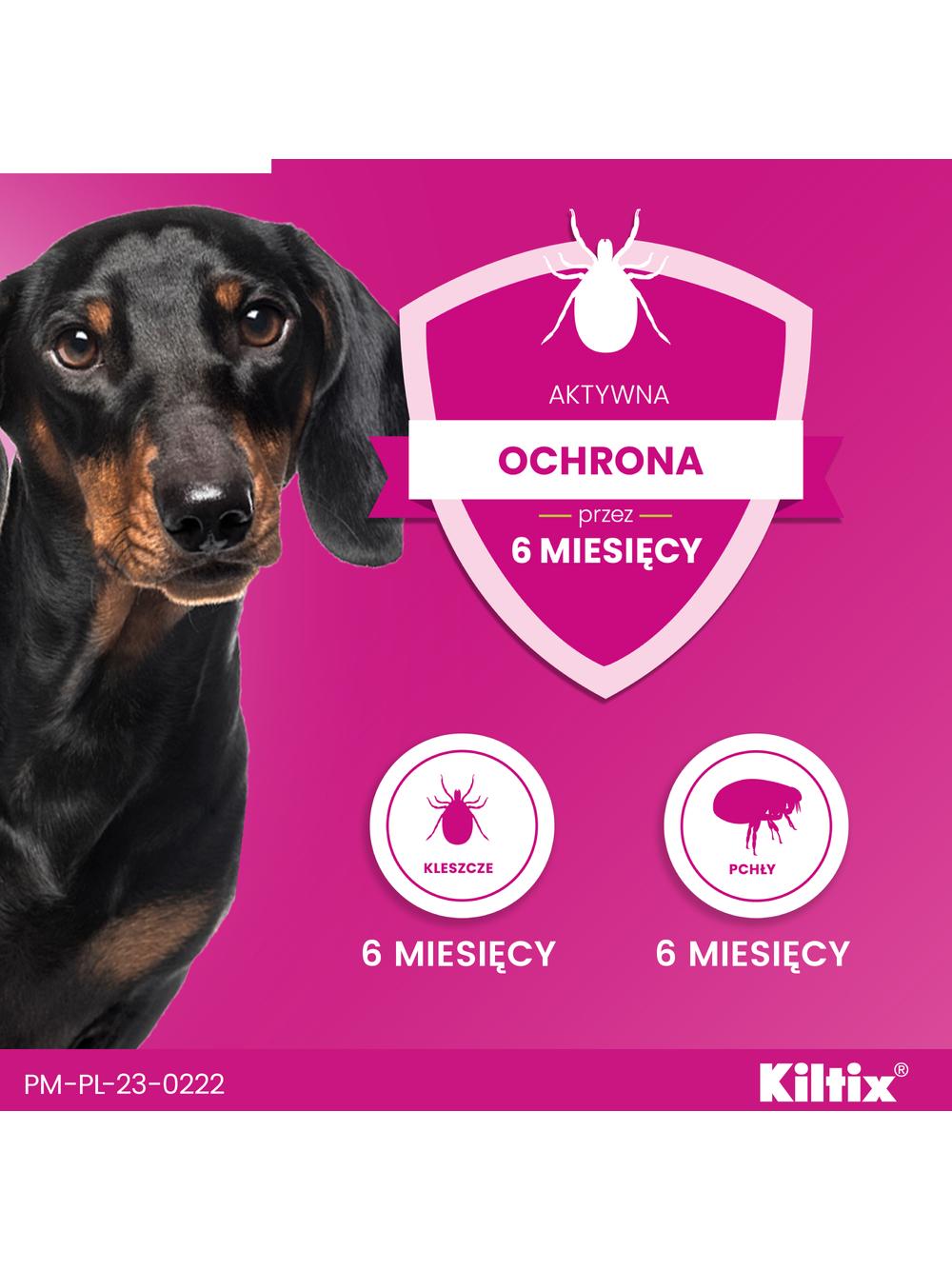 Kiltix Obroża dla małych psów 38 cm+ TRIXIE Szczypce do usuwania kleszczy 9cm