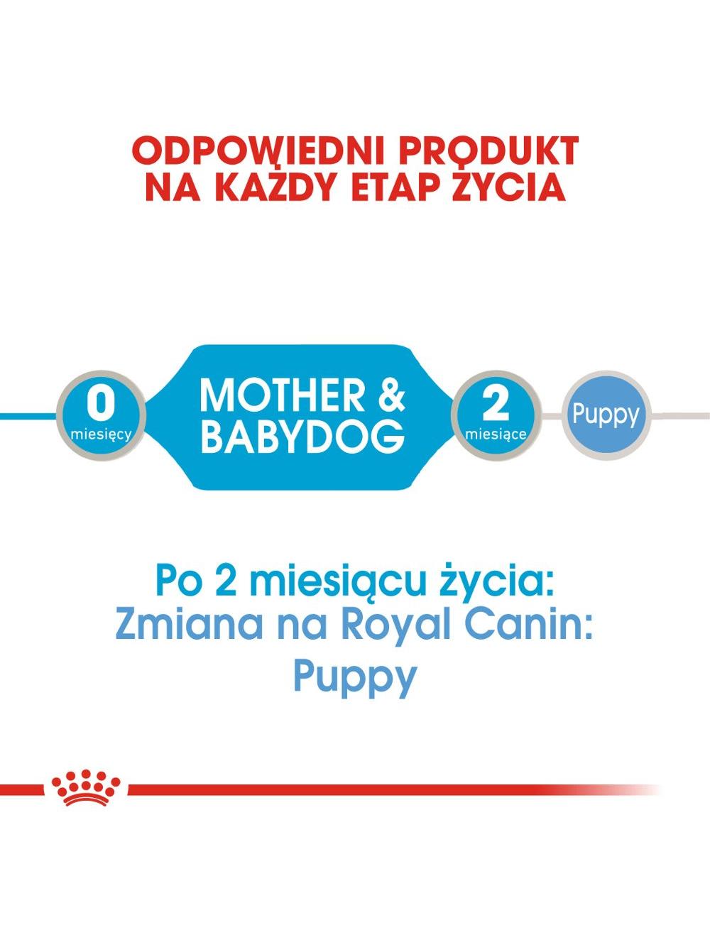 ROYAL CANIN Starter Mousse Mother & Babydog 6x195g karma mokra - mus, dla suk w czasie ciąży, laktacji oraz szczeniąt