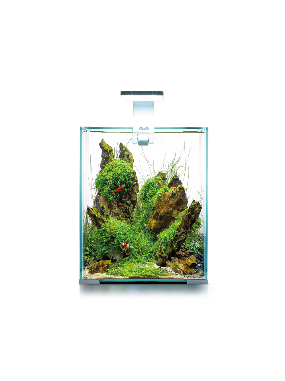 AQUAEL Zestaw Aquael Shrimp Set Smart Day & Night [20l] - biały