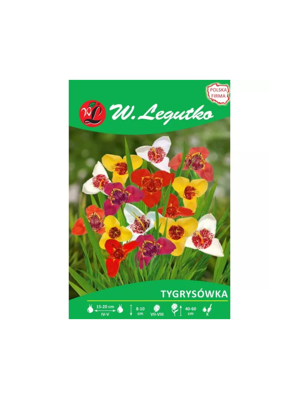 Tygrysówka mieszanka 7szt.