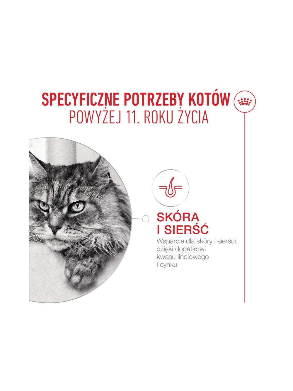 ROYAL CANIN mokra karma dla kotów, Senior Ageing 11+, sos12x85 g