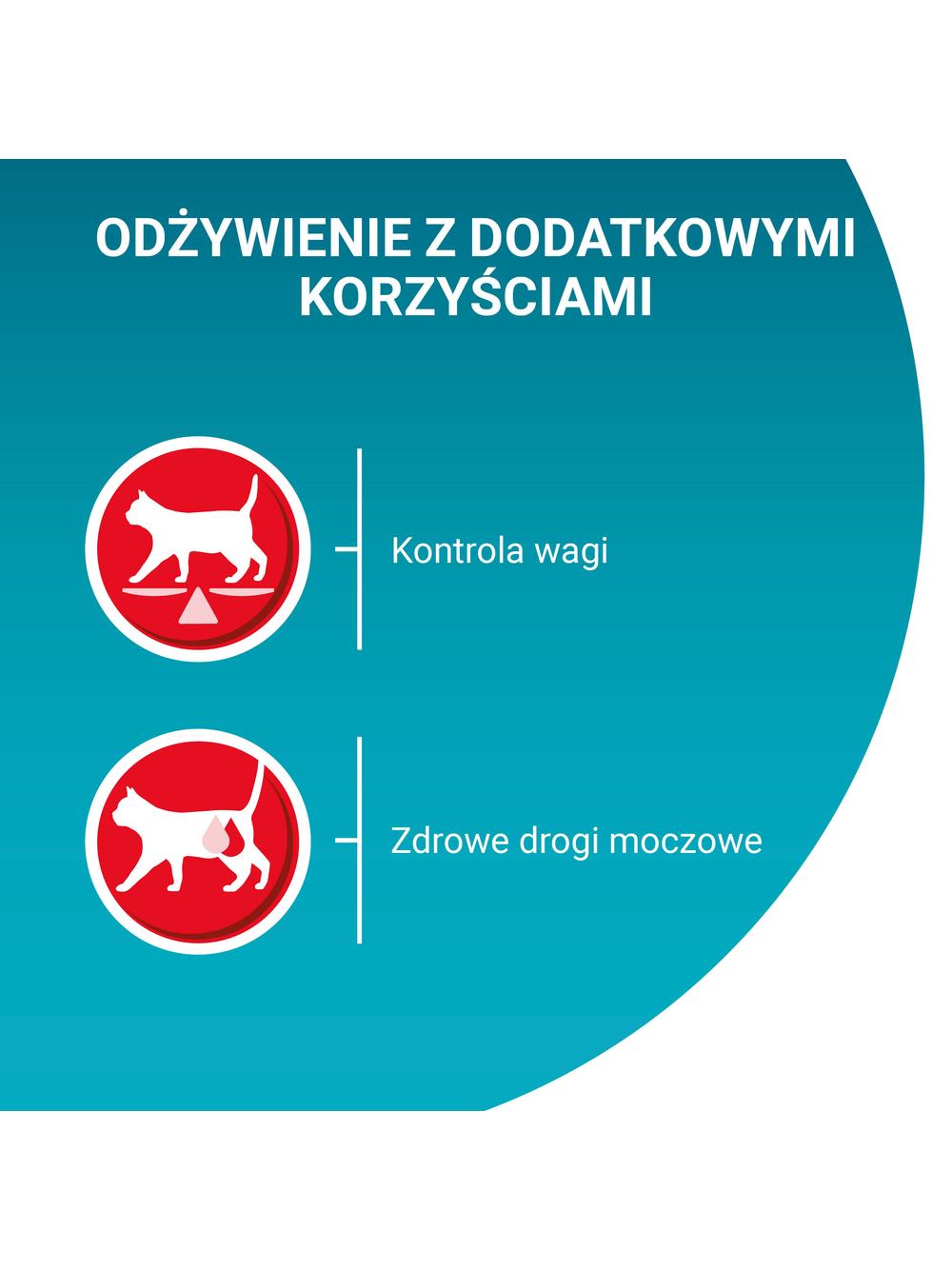 Purina One Sterilcat z indykiem i zieloną fasolką 85g