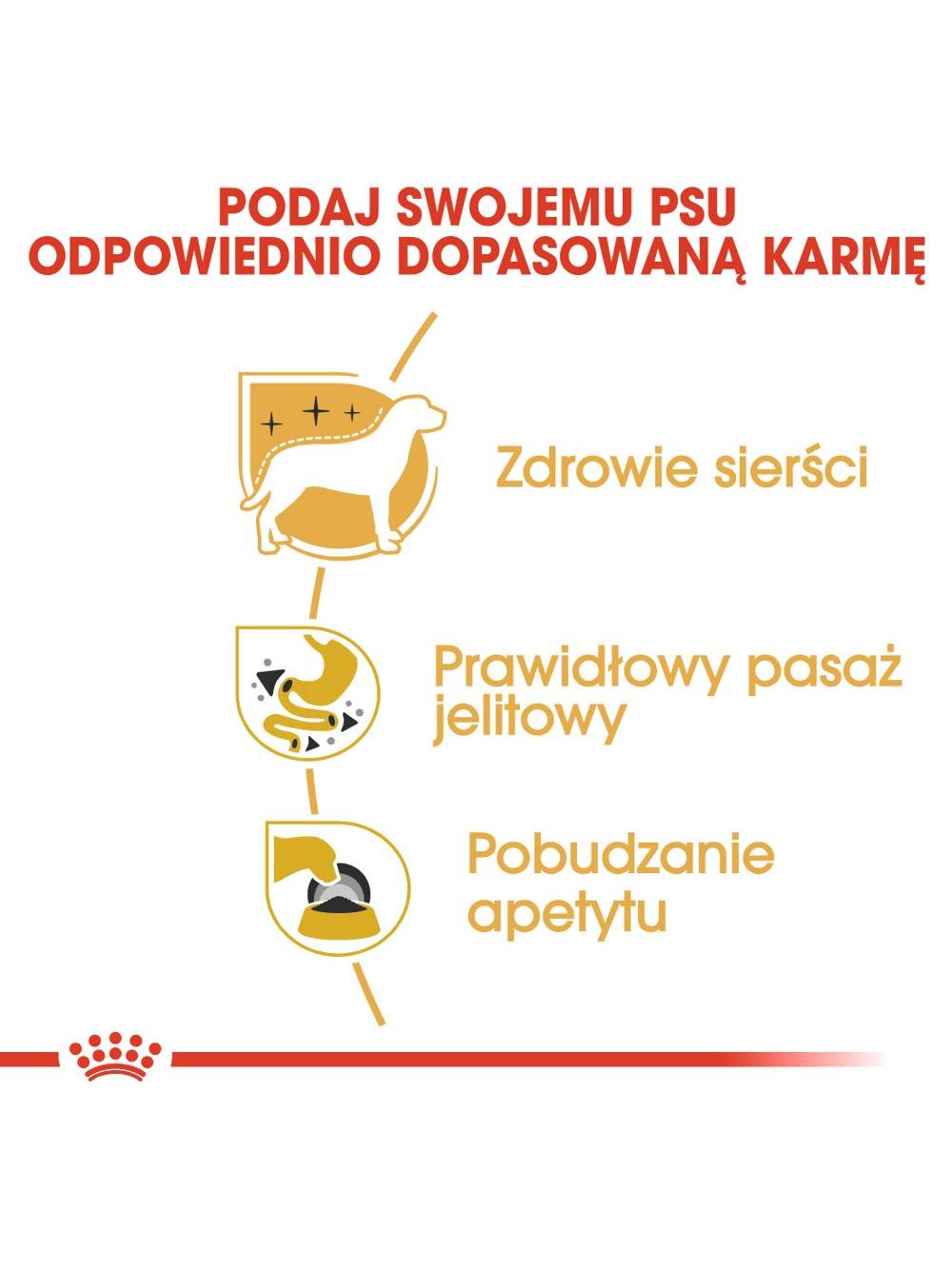 ROYAL CANIN Chihuahua Adult 12x85g karma mokra - pasztet, dla psów dorosłych rasy  + niespodzianka dla psa GRATIS