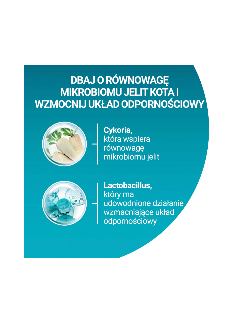PURINA ONE Bifensis Sterilcat Karma dla kotów bogata w łososia 1,4 kg