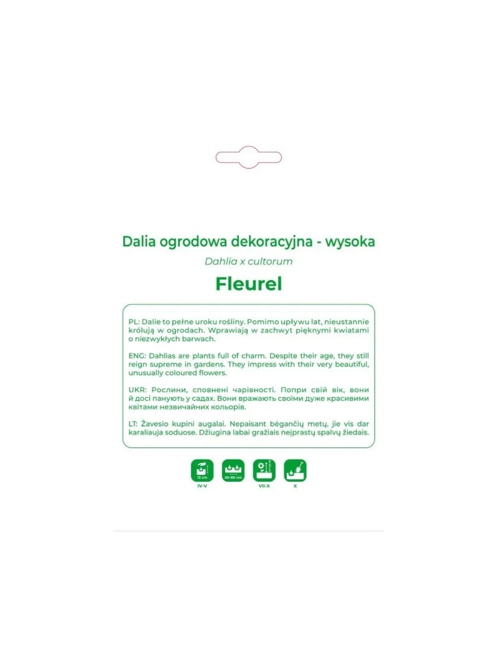 Dalia Fleurel biała 1szt.
