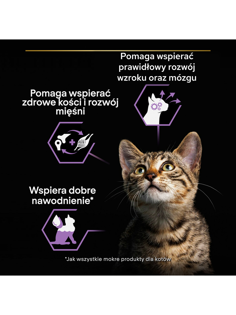 PRO PLAN Nutrisavour Kitten Karma dla kociąt delikatne kawałki z indykiem w sosie 12x85g