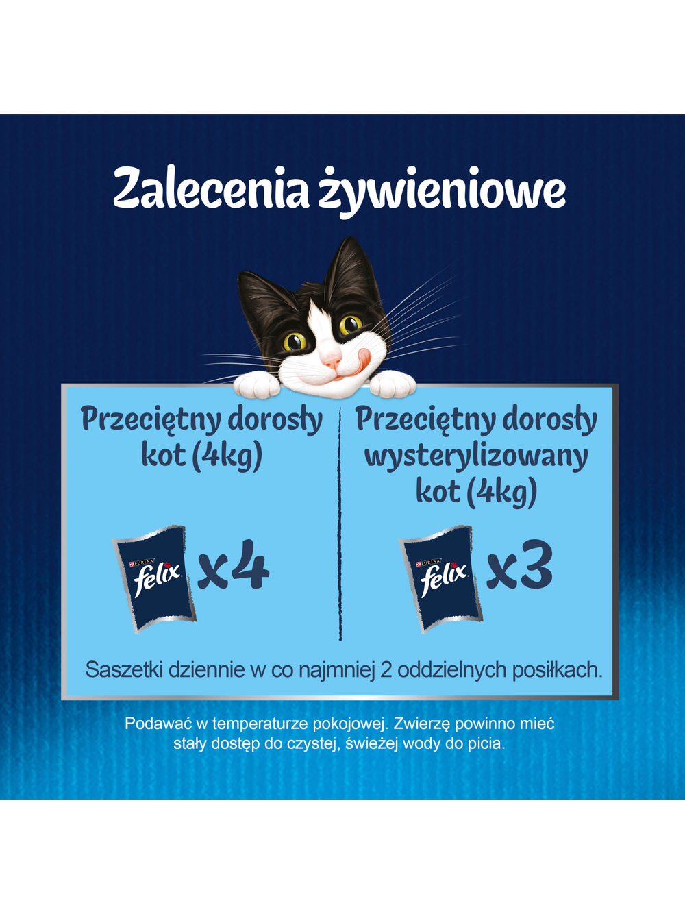 FELIX Fantastic Junior w galaretce;24x85g