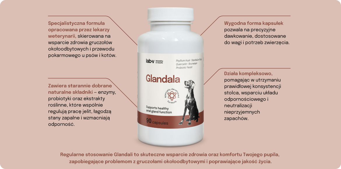 Zalety Glandala