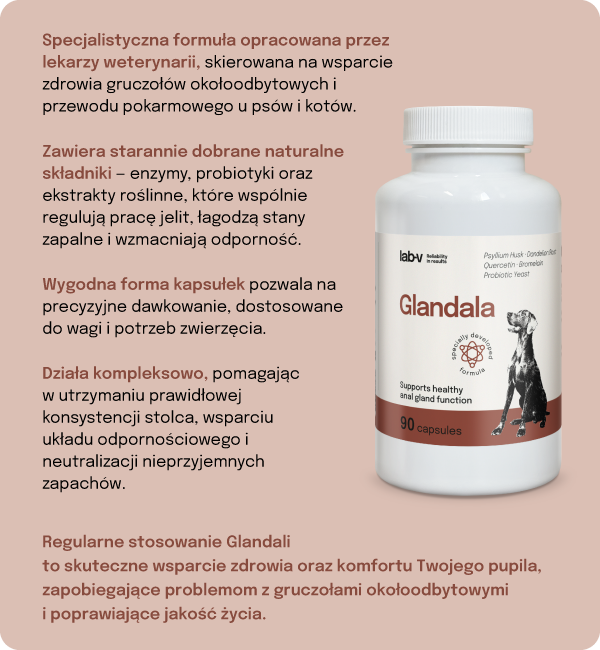 Zalety Glandala