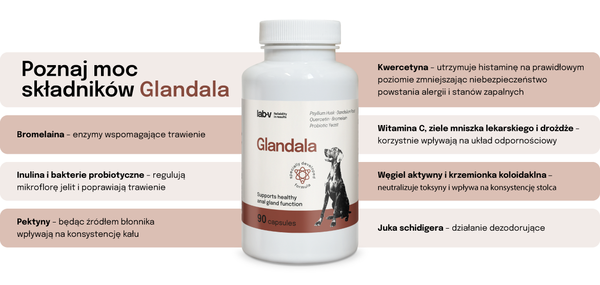 Składniki Glandala