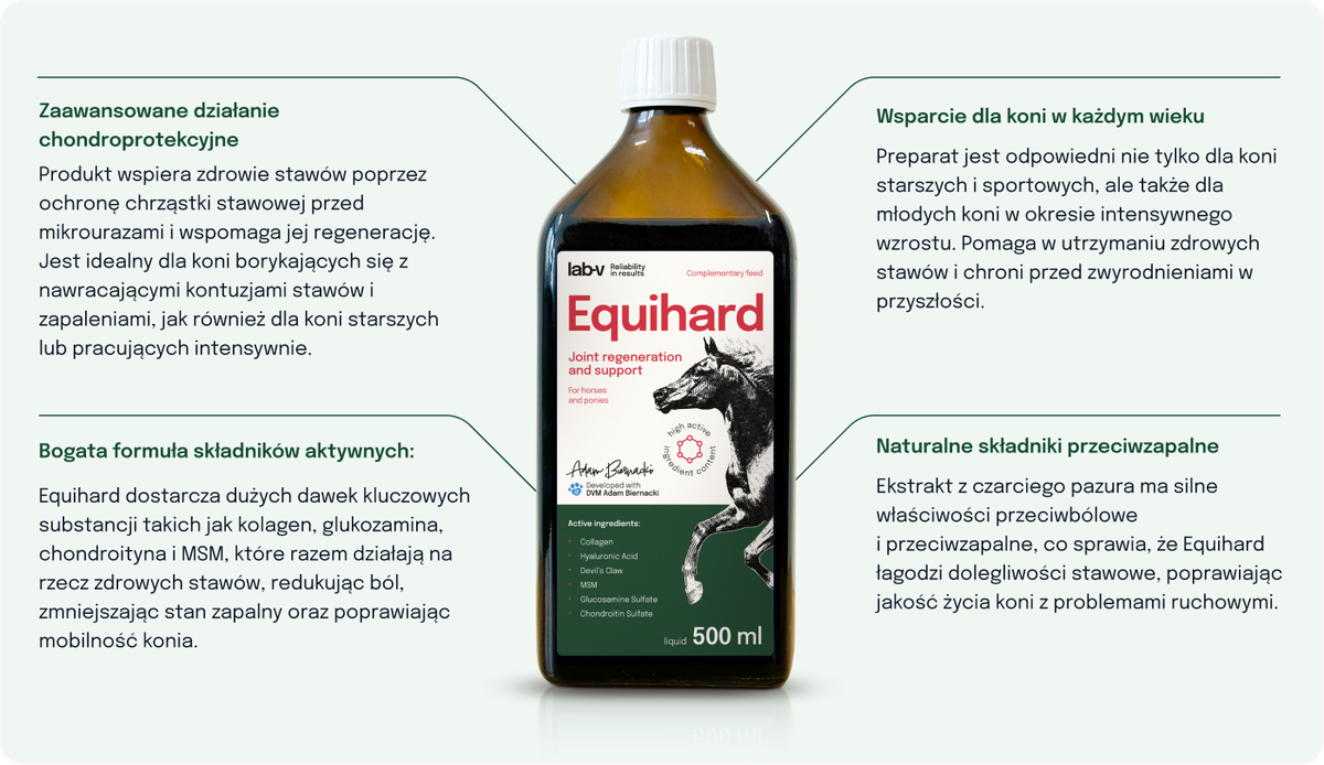 Zalety Equihard