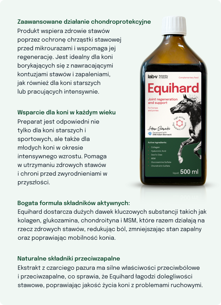 Zalety Equihard