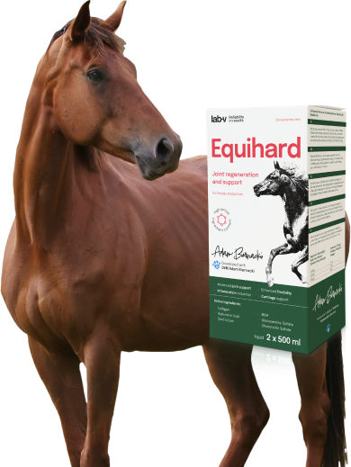 Produkt Equihard