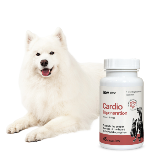 Lab-v Cardio Regeneration