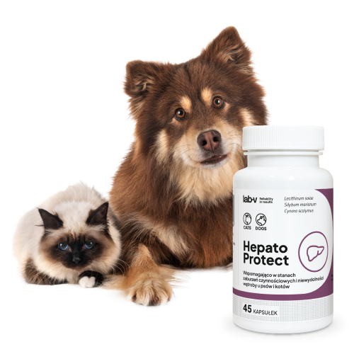 Lab-v Hepato Protect