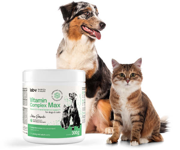 Vitamin Complex Max