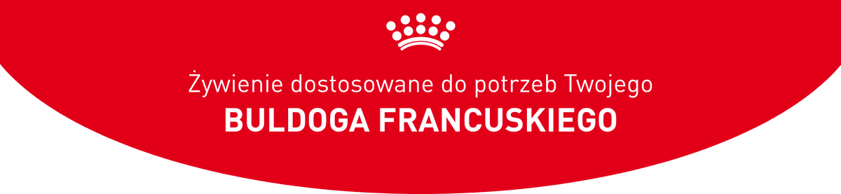 Grafika nagłówkowa strony