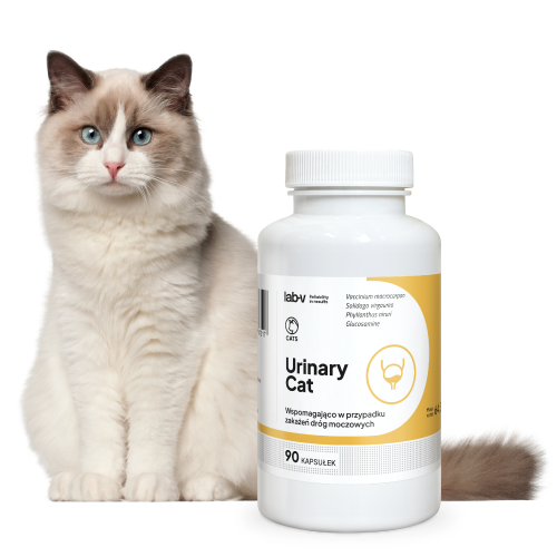 Lab-v Urinary Cat