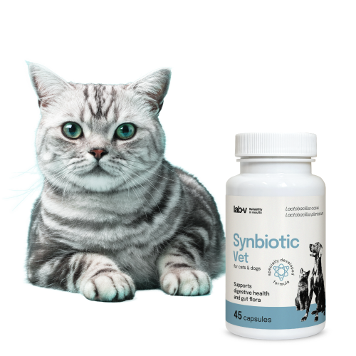 Lab-v Synbiotic Vet