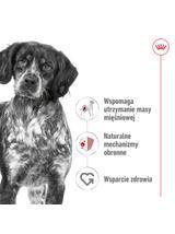ROYAL CANIN® Medium Adult 410g karma mokra, pasztet dla psów dorosłych, ras średnich