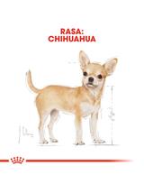 ROYAL CANIN Chihuahua Adult 500g karma sucha dla psów dorosłych rasy chihuahua/ opakowanie uszkodzone (8968)!!!